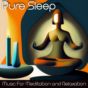 อัลบัม Pure Sleep: Music For Meditation and Relaxation ศิลปิน World Music for the New Age
