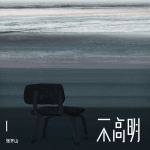 Album 不高明 from 张齐山DanieL