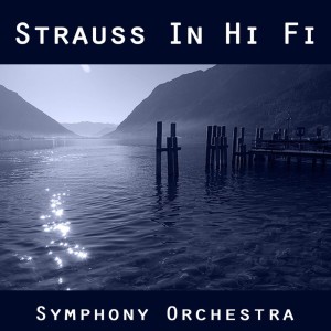 收聽The Symphony Orchestra的You And You歌詞歌曲