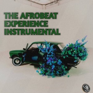 Album THE AFROBEAT EXPERIENCE INSTRUMENTAL from 