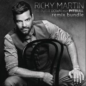 ดาวน์โหลดและฟังเพลง Mr. Put It Down (DJ White Shadow Remix) พร้อมเนื้อเพลงจาก Ricky Martin