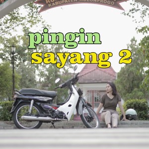 Album pingin sayang 2 from Derradru