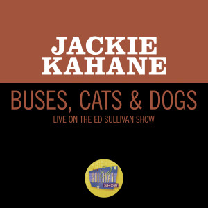 Jackie Kahane的專輯Buses, Cats & Dogs