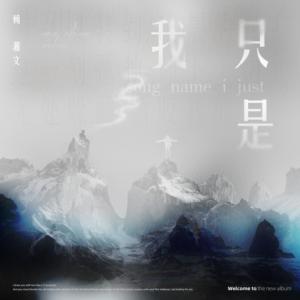 Listen to 我只是 song with lyrics from 赖湘文