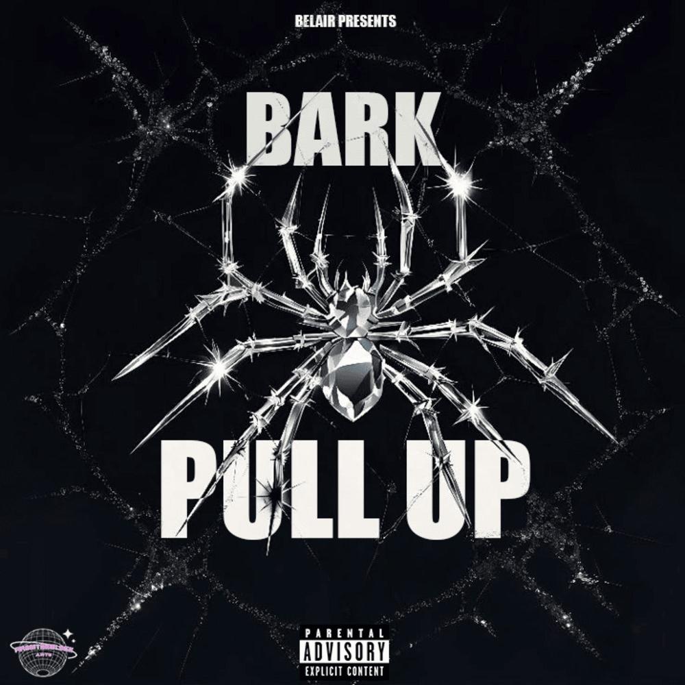 PULL UP (feat. Alats) (Explicit)