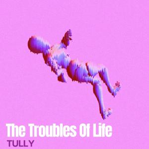 Tully的專輯The Troubles Of Life (Explicit)