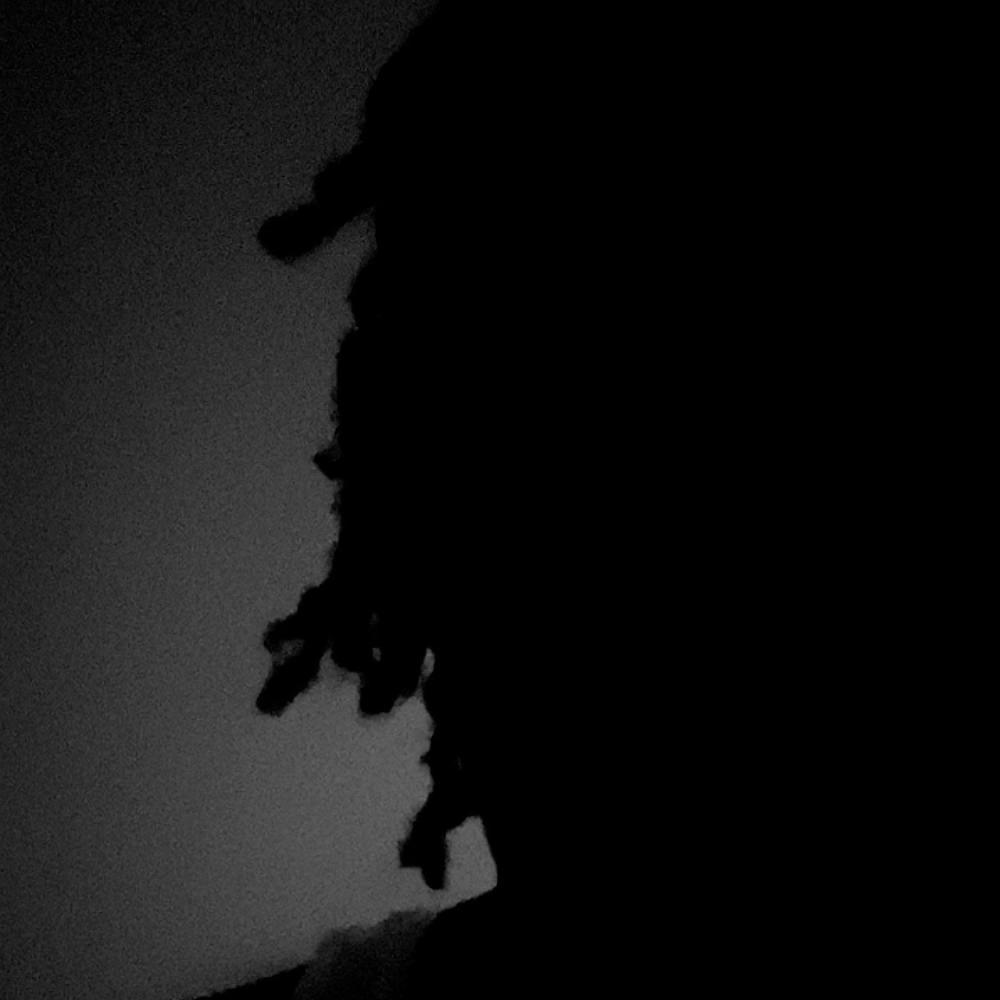 trust (Explicit)