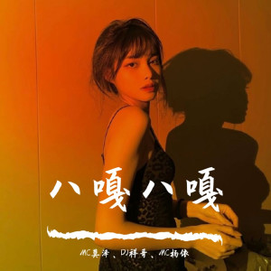 Listen to Tu Vivi Nellaria（DJ版） song with lyrics from MC莫泽