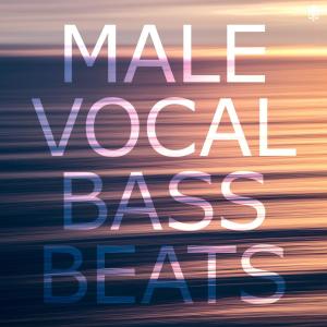 收听Al Coholic的Don't Wanna Pretend Anymore(feat. Vlad Zhukov)歌词歌曲