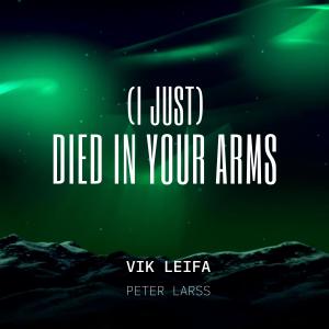收聽Vik Leifa的(I Just) Died In Your Arms (feat. Peter Larss)歌詞歌曲