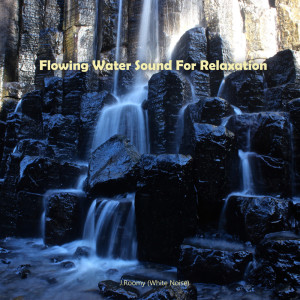 收听J.Roomy的Flowing Water Sound For Relaxation (ASMR, Nature Sound)歌词歌曲