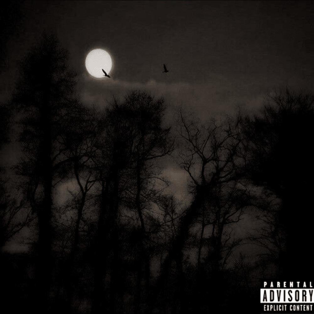 never have it (Sped Up) (Explicit)
