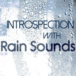 อัลบัม Introspection with Rain Sounds ศิลปิน Rain Sounds for Meditation