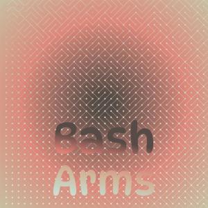 อัลบัม Bash Arms ศิลปิน Various