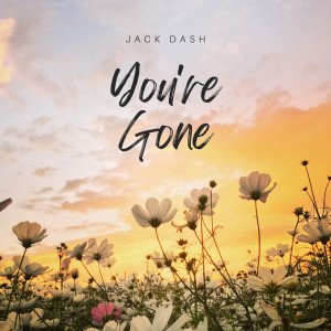 Listen to You're Gone song with lyrics from Jack Dash