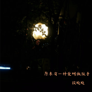 Album 原来有一种爱叫做放手 from 段晓晓