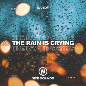อัลบัม The Rain is Crying ศิลปิน Dj Jedy