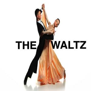 收聽Steve Shapiro的The Waltz歌詞歌曲