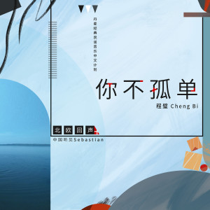 Album 北欧回声：你不孤单 from 程璧