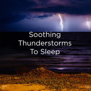 Listen to Sounds Of Nature Thunderstorm & Rain song with lyrics from Thunder Storms & Rain Sounds