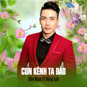 收听Bảo Nam的Con Kênh Ta Đào歌词歌曲