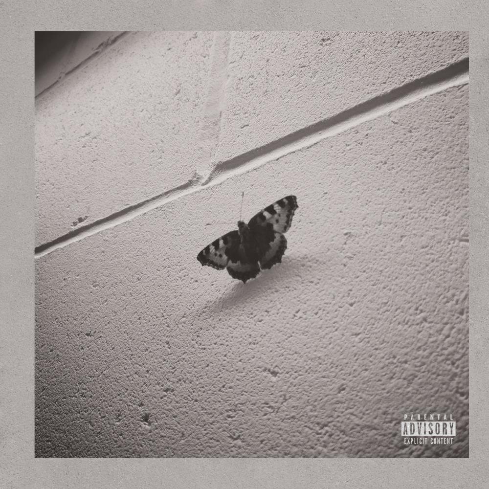 King (Explicit)