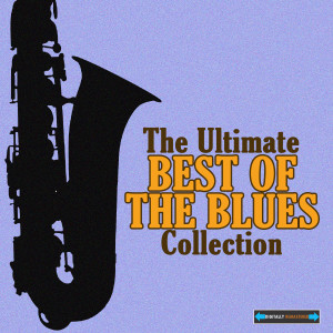 ดาวน์โหลดและฟังเพลง Pratt City Blues พร้อมเนื้อเพลงจาก Bertha 'Chippie' Hill