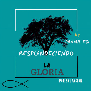 Listen to Por Salvación (Resplandeciendo la Gloria) song with lyrics from Promil ESL
