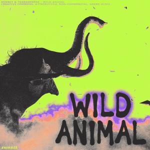 Listen to wild animal (Explicit) song with lyrics from Runnit