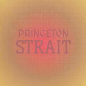 อัลบัม Princeton Strait ศิลปิน Various