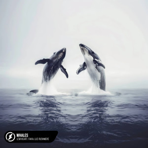 收聽Lew Heart的Whales歌詞歌曲