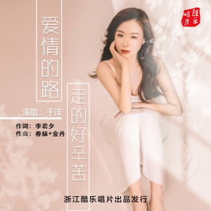 于洋的专辑爱情的路走的好辛苦(Dj沈念加速版)