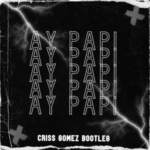 ดาวน์โหลดและฟังเพลง Ay Papi (Bootleg Guaratech/TNT) พร้อมเนื้อเพลงจาก Dj Criss Gomez