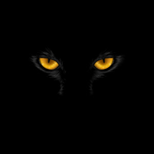 Listen to Anger song with lyrics from Abikosh Music