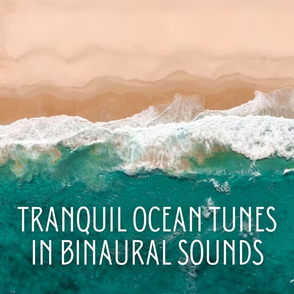 Blissful Seagull Sounds Music