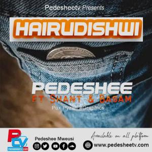 Pedeshee mweusi的專輯Hairudishwi (feat. Shant & Basam) (Explicit)