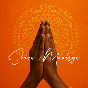 Album Namaste Shanti from Shiva Mantrya