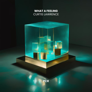 Album What A Feeling from Curtis Lawrence