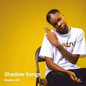 Album Shadow Songs from 