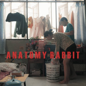 ดาวน์โหลดและฟังเพลง ขอให้โลกนี้ใจดีกับเธอ พร้อมเนื้อเพลงจาก ANATOMY RABBIT