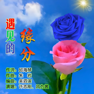 Listen to 遇见的缘分 (完整版) song with lyrics from 邱海琴