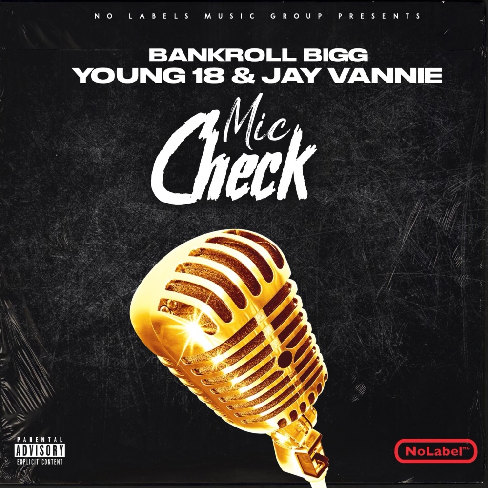 Mic Check (feat. Jay Vannie & Young 18) (Explicit)