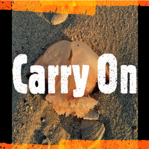 Listen to Carry On (Explicit) song with lyrics from Ryan Littlejohn
