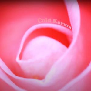 Salt Lick的專輯Cold Karma