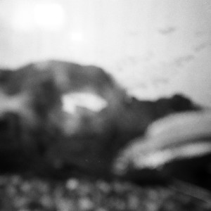 Listen to Wolves song with lyrics from Sun Kil Moon
