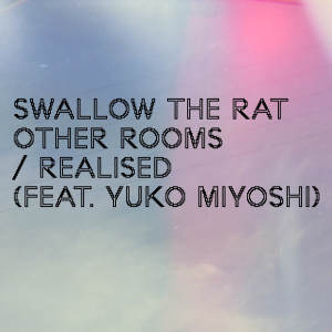 Swallow the Rat的专辑Other Rooms