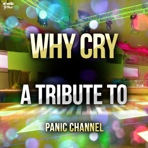 Ameritz Top Tributes的專輯Why Cry: A Tribute to Panic Channel