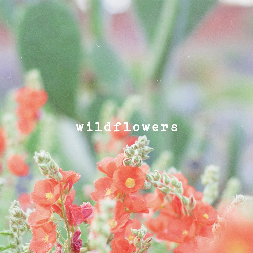 Wildflowers