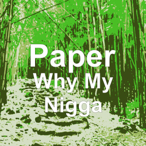 Listen to Why My Nigga (Explicit) song with lyrics from Paper