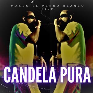 收聽maceo el perro blanco live的candela pura (live)歌詞歌曲